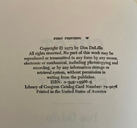 Great Jones Street, Don DeLillo - First Edition, First Printing - Rare!
